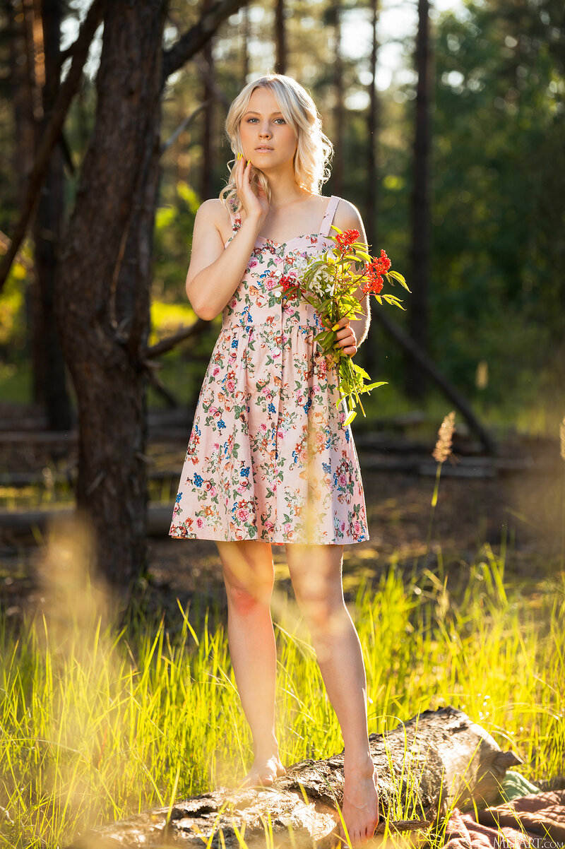 Проститутка Елена